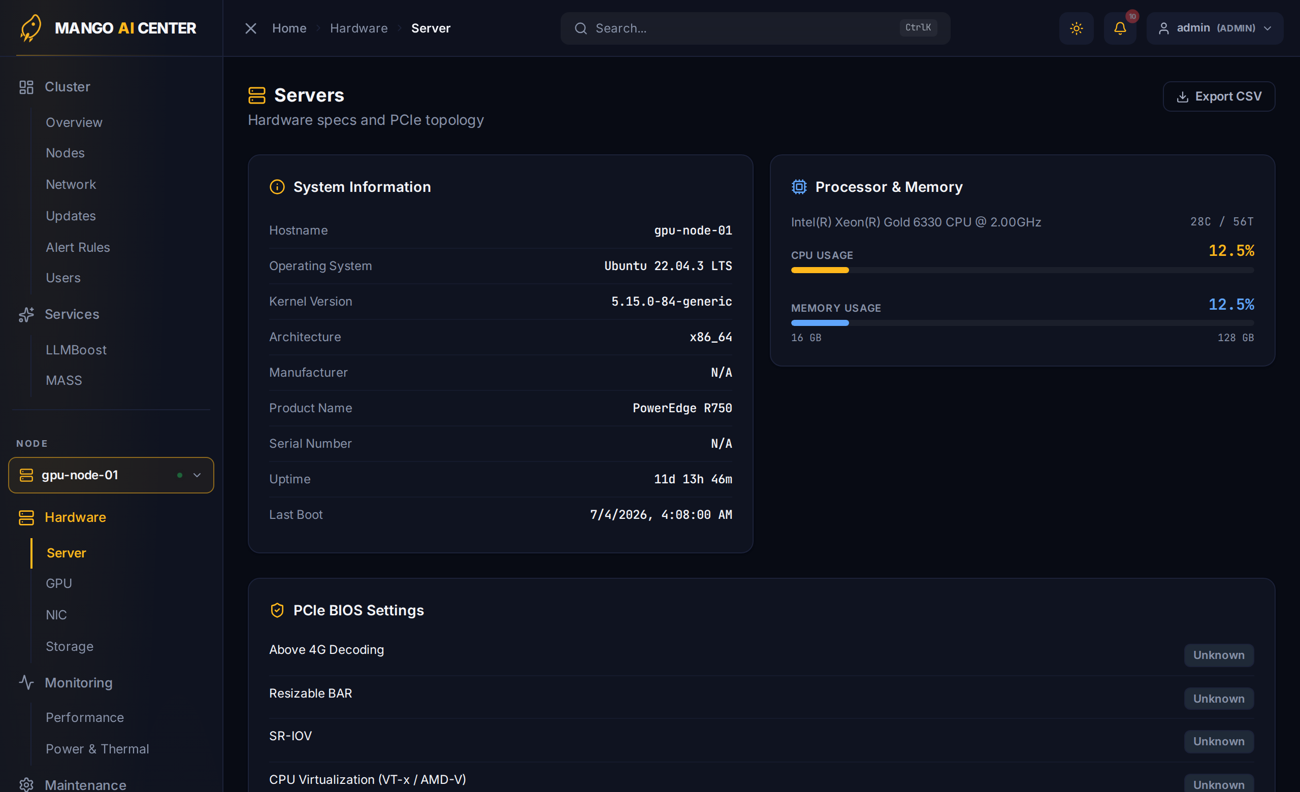 Server detail